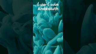 Anakoluth  Laber Lexikon [upl. by Nirual]