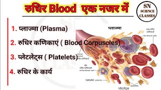 Human Blood  RBCs  WBCs  Platelets  Plasma in Hindi [upl. by Esinert]