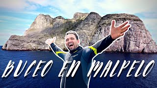 ¿Cómo Bucear Malpelo  How to dive Malpelo [upl. by Nichy]