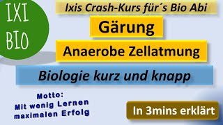 Gärung in 3mins erklärt  Biologie kurz und knapp  anaerobe Zellatmung Vorbereitung Biologie Abitur [upl. by Maryn328]