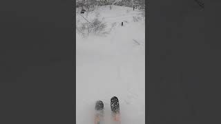 Japan Skiing Backflip [upl. by Margetts]