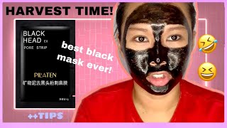 Pilaten Black Head Pore Strip  HOWTO  Donatella 💖 [upl. by Yssor]