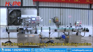 linear 6 heads roll film sealing machineamplabeling machine [upl. by Cirdet]