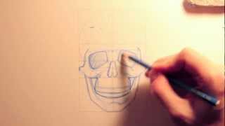 Tutorial Disegno Lezione 04 quotAnatomia del Teschioquot [upl. by Ymirej]