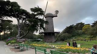 Queen Wilhelmina Tulip Garden amp Dutch Windmill [upl. by Nomde661]