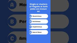 Single or clusters of flagella at both poles are known as [upl. by Leoline519]