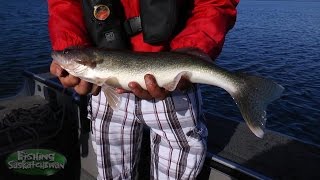 Late Spring Walleye on Lake Diefenbaker on Fishing Saskatchewan [upl. by Mauchi]