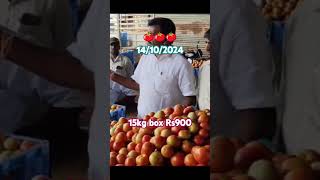 tomatoprice🍅🍅🍅 tomato tomatorate 🍅🍅🍅Rs900 [upl. by Ladnek]