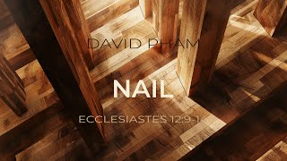 20240407 Nail David Phạm [upl. by Aidni]