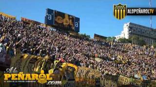 Porque yo soy de Peñarol  Barra Amsterdam vs Cerrito  ALOPEÑAROLCOM [upl. by Harv]