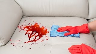 How To Remove a Stain from a Sofa [upl. by Eednam]