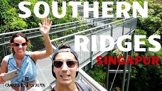 QUÉ HACER EN SINGAPUR EXCURSIÓN PUENTES COLGANTES [upl. by Aelak]