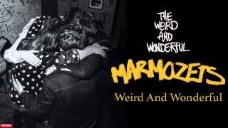 Marmozets  Weird and Wonderful Audio [upl. by Ahilam]