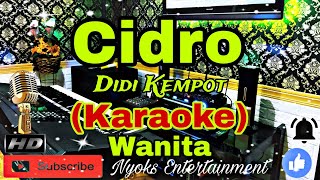 CIDRO  Didi Kempot KARAOKE Dangdut Campursari  Nada Wanita ADO [upl. by Eade236]