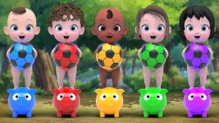 color ball Finger Family amp Itsy bitsy spider more Nursery Rhymes amp Kids Songs  Kindergarten [upl. by Karlen742]