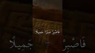 الله سبحانه وتعالى يقول صَلعلىالحبيبقلبكيطيب [upl. by Inahc]