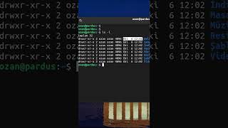 LSL ve LSA Komutu  Temel Linux Komutları pardus linux [upl. by Eniamaj238]