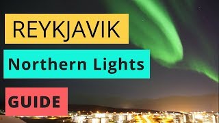 How to See the Northern Lights in Reykjavik [upl. by Toomay]