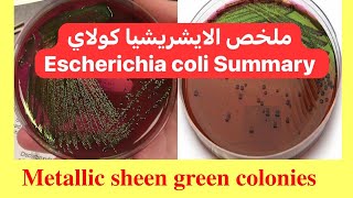 ملخص الايشريشيا كولاي Escherichia coli Summary [upl. by Bolitho]