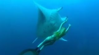 Swimming with a Manta Ray  Shark Therapy  Big Sharks  BBC Studios [upl. by Aleik]