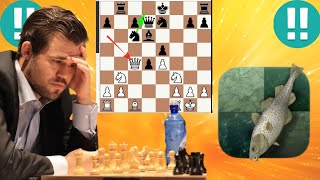 Brilliant Magnus Carlsen vs Stockfish 276 [upl. by Eiffub]