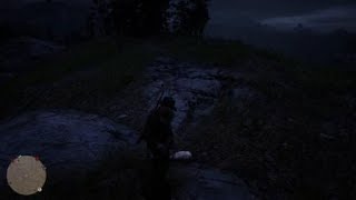 RDR2 Guaranteed Badger Spawn [upl. by Tisbee415]