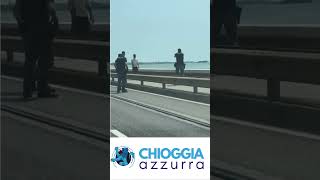 POLIZIA BLOCCA CON TASER ESAGITATO SUL PONTE DELLA LIBERTÀ [upl. by Blanchette]