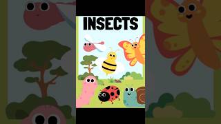 Insects name  Insects name in English  Insects name for kids  Insects shortsinsectsname [upl. by Nnaerb603]