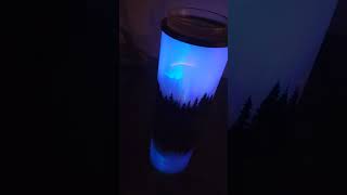 Scentsy Polar Panorama Warmer httpsbsydorkoscentsyca [upl. by Alaehs]