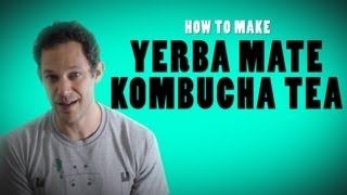 Yerba Mate Kombucha OR How To Make Yerba Mate Kombucha Tea [upl. by Semela384]