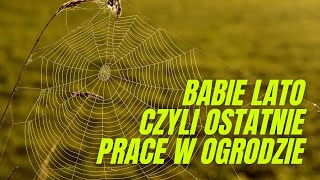 10 rzeczy do zrobienia w ogrodzie w czasie quotbabiego lataquot [upl. by Nylsej694]