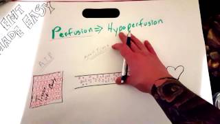 EMT Perfusion amp Hypoperfusion  EMT MADE EASY [upl. by Ailahk]