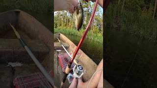 POND HOPPING IN A CANOE FARM POND FISHING LARGEMOUTH BASS FISHINGfishingshortsytshortsfypyt [upl. by Normie]