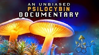 The MAGIC Behind MUSHROOMS  The Untold Story of PSILOCYBIN Educational SHROOMS documentary [upl. by Mattland]