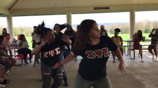 Chi Upsilon Sigma Penn State NCNW Black Family Reunion Performance 2017 [upl. by Shawna902]