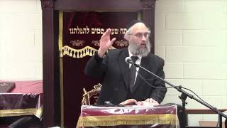 Rabbi Yitzchok Lichtenstein on pesach [upl. by Rosemaria414]