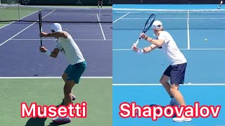 One Handed Backhand Comparison  Lorenzo Musetti vs Denis Shapovalov Tennis Technique [upl. by Acirehs552]