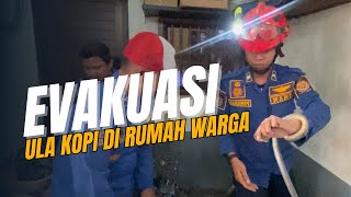 UVLOG 03  EVAKUASI ULA DI RUMAH WARGA [upl. by Alekehs255]