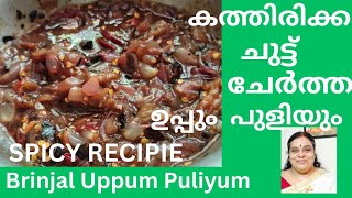 കത്തിരിക്ക ചുട്ട് ചേർത്ത് ഉപ്പും പുളിയും കറി Brinjal Uppum Puliyumസൂപ്പർ ടേസ്റ്റ് ആണ് [upl. by Fadil225]