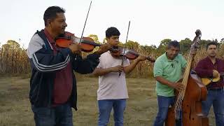 Los quotsonesquot son un genero musical y de baile tradicional en México [upl. by Gusti]