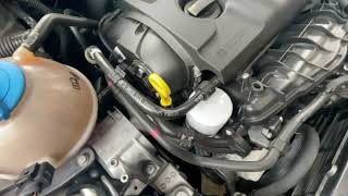 Audi TT 20 MKII Engine Noise  Normal or Not [upl. by Eelynnhoj]