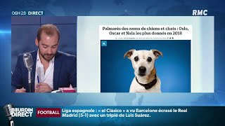 Quels sont les noms pour chiens les plus donnés en 2018 [upl. by Ahsaetan]