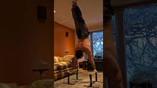 PLANCHER without gravity🔥 motivation planche pushups maltese streetworkout calisthenics gym [upl. by Hufnagel]