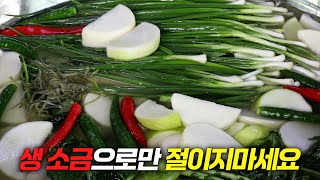 암의 발증을 강력하게 억제하는 대박집 동치미 뚝딱 담그는 법 [upl. by Adnaram]