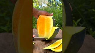 cool satisfying asmr yellow watermelon cutting asmr satisfying [upl. by Sirtaeb479]