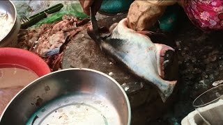 Amazing Cutting Fish  Fastest Fish Cutting  cutting fish in cambodia5 [upl. by Brigham991]