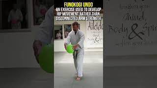 Your Centre Drives Your Hands aikido shorts [upl. by Mommy211]