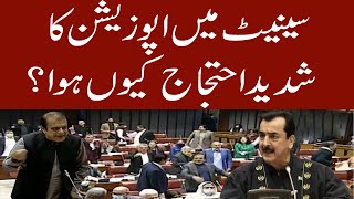 PTI Protest in Senate  Election Tribunals Retired Judges Appointment Bill Passed [upl. by Elorak144]