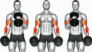 Biceps Workout 6 Best Exercises to build Strong Bicep [upl. by Nilrah383]