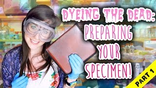 Dyeing The Dead  EP 2 Preparing Your Specimen Part 1 [upl. by Ttelrahc643]